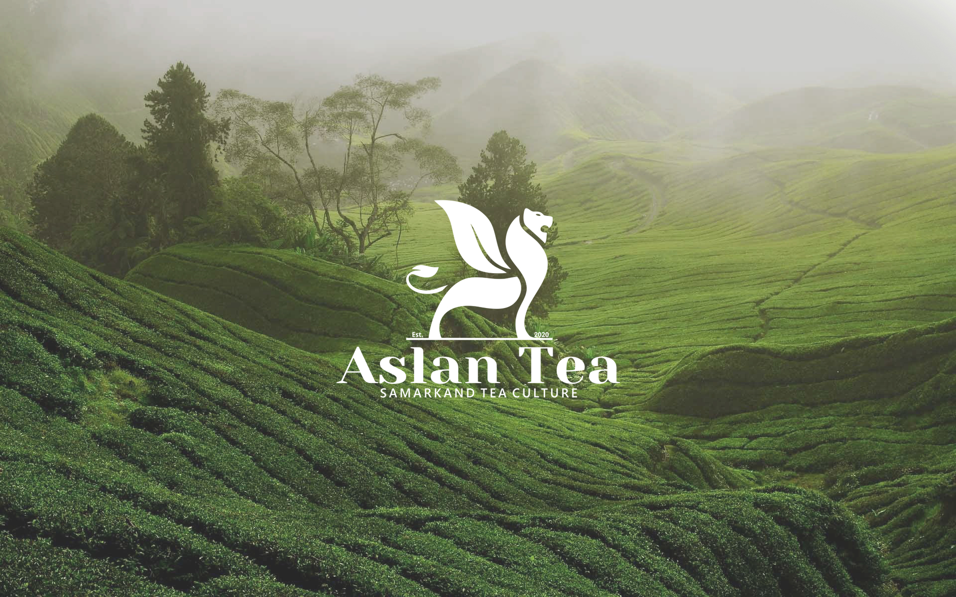 茶葉包裝設(shè)計(jì)