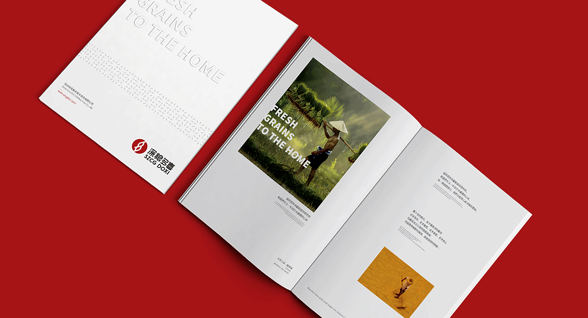 深圳羅湖畫冊(cè)設(shè)計(jì)公司