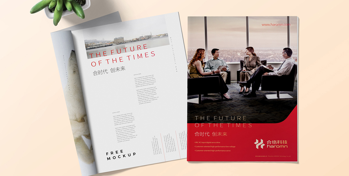 深圳畫冊設(shè)計公司