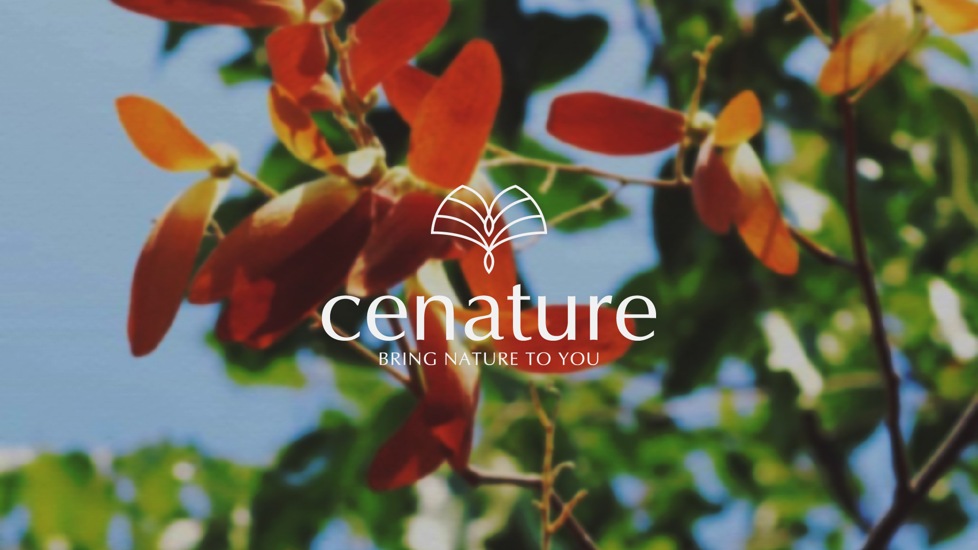 化妝品標(biāo)志設(shè)計(jì)