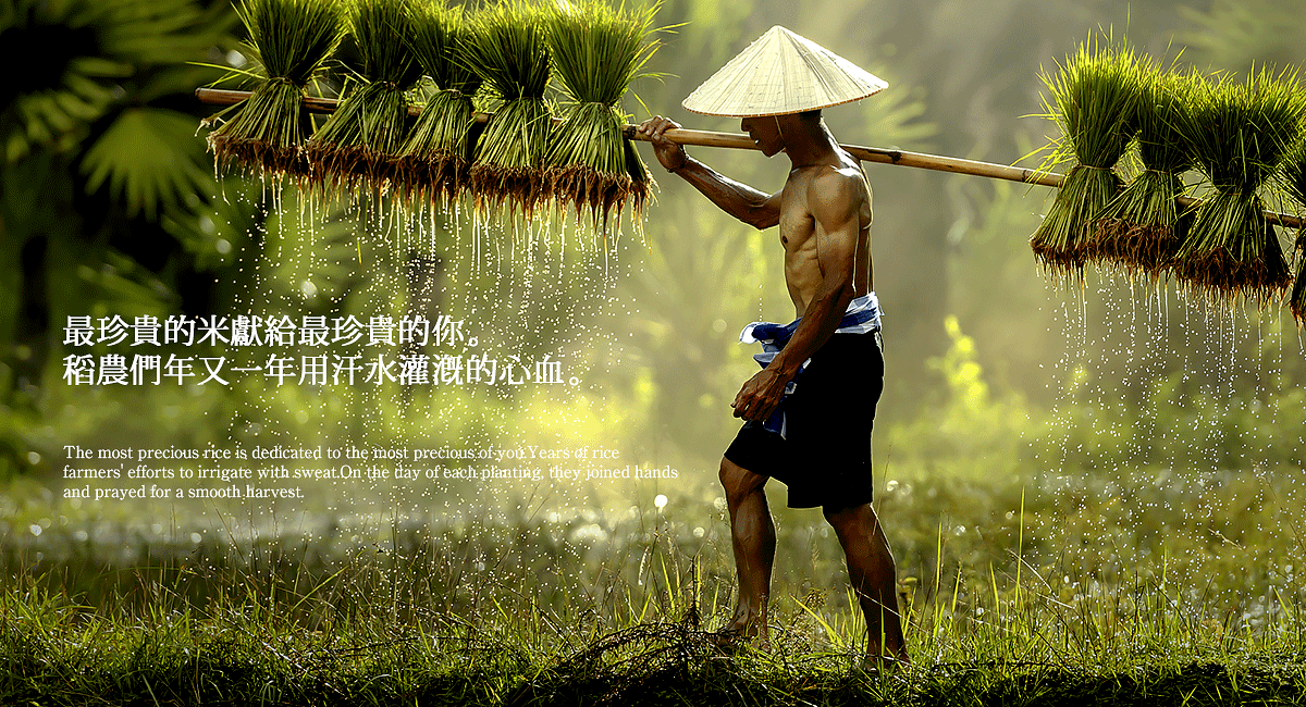 深圳VI設(shè)計(jì)