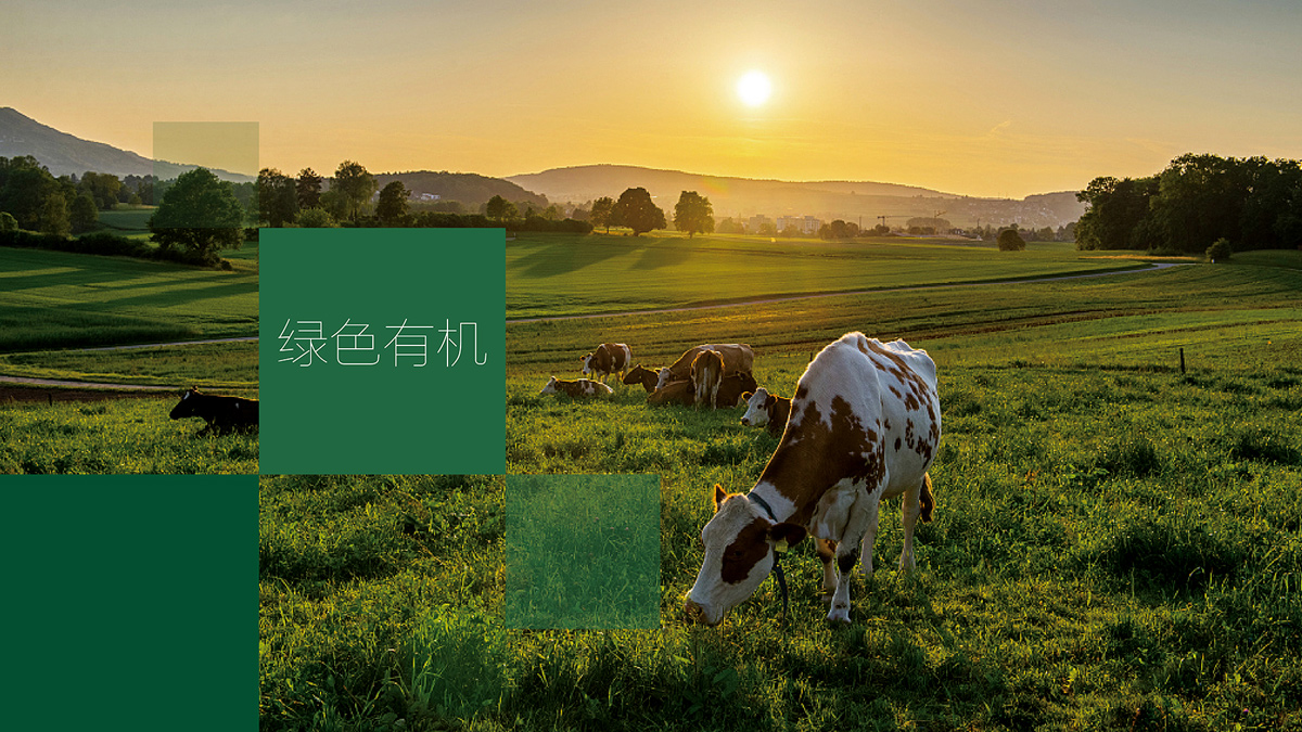 深圳品牌vi設(shè)計(jì)