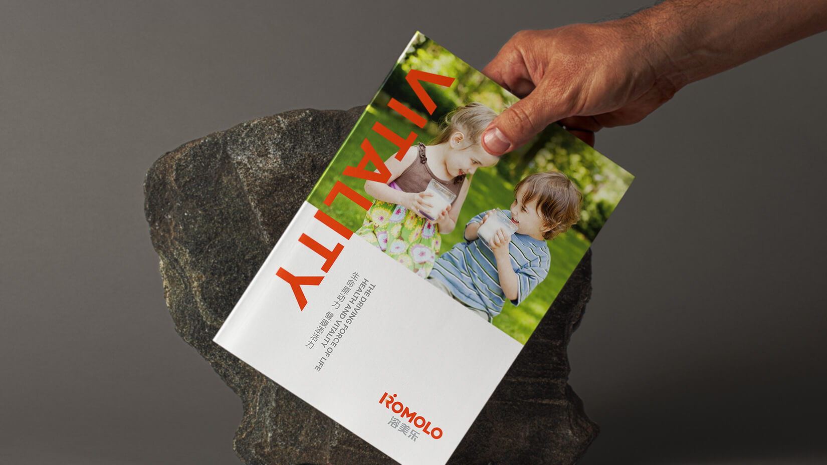 食品品牌設(shè)計(jì)